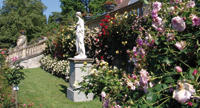 Italienischer Rosengarten